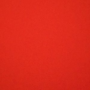 Meet your Posher, Ernesto